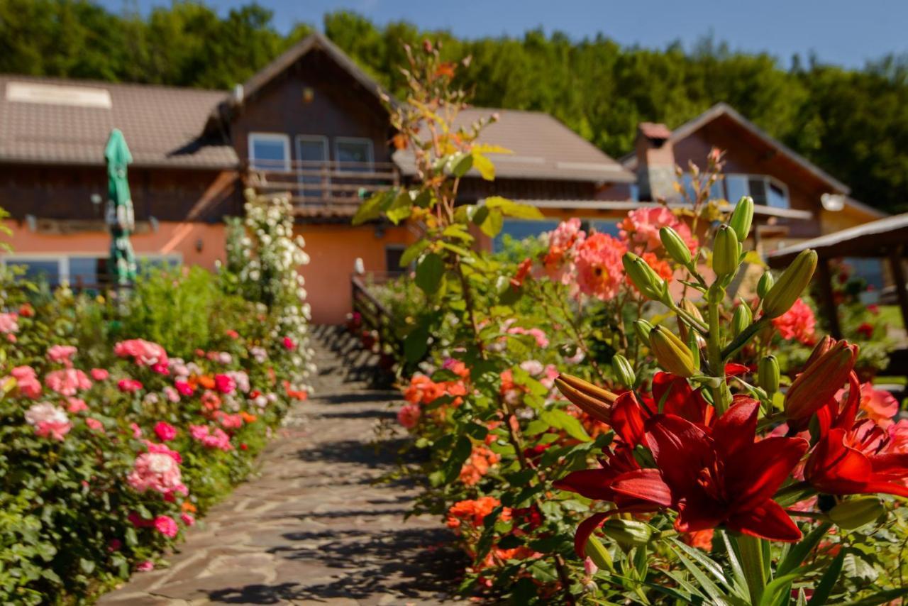 Dumbrava Ursului Hotel Zărneşti Bagian luar foto