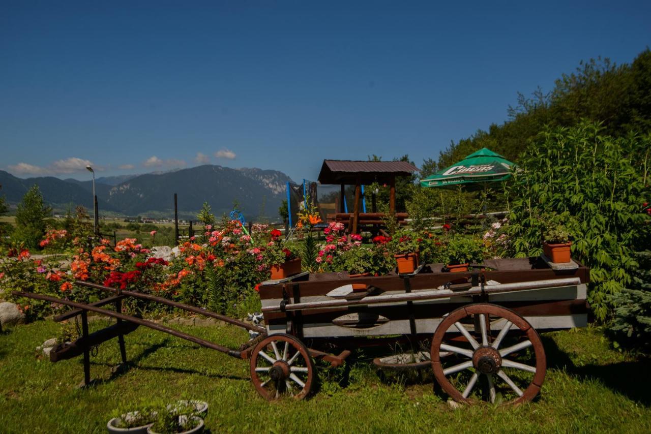 Dumbrava Ursului Hotel Zărneşti Bagian luar foto