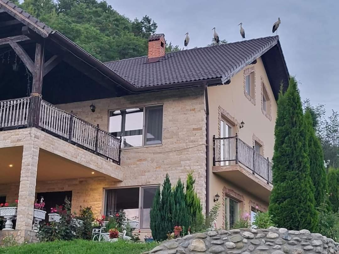 Dumbrava Ursului Hotel Zărneşti Bagian luar foto