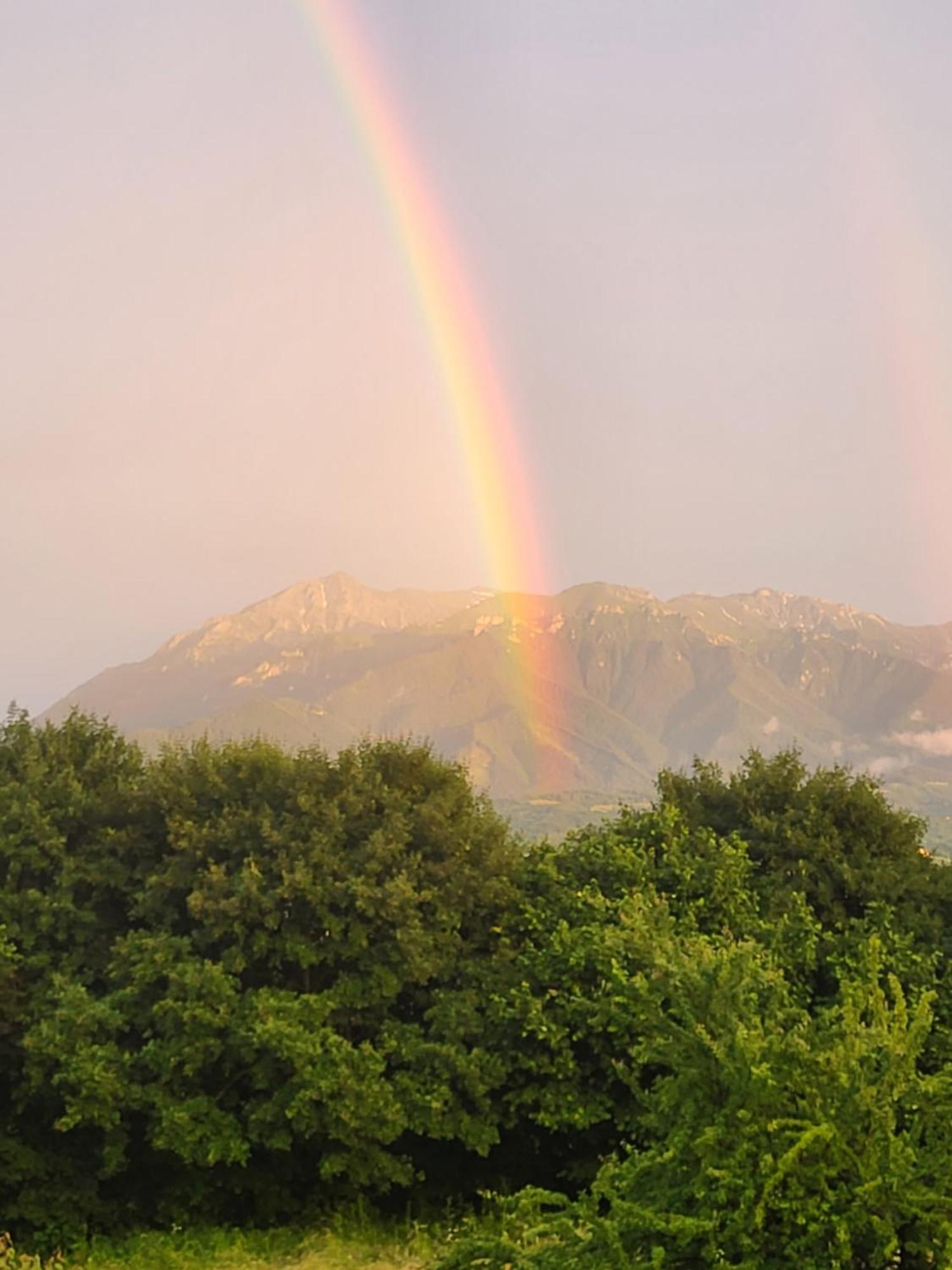 Dumbrava Ursului Hotel Zărneşti Bagian luar foto