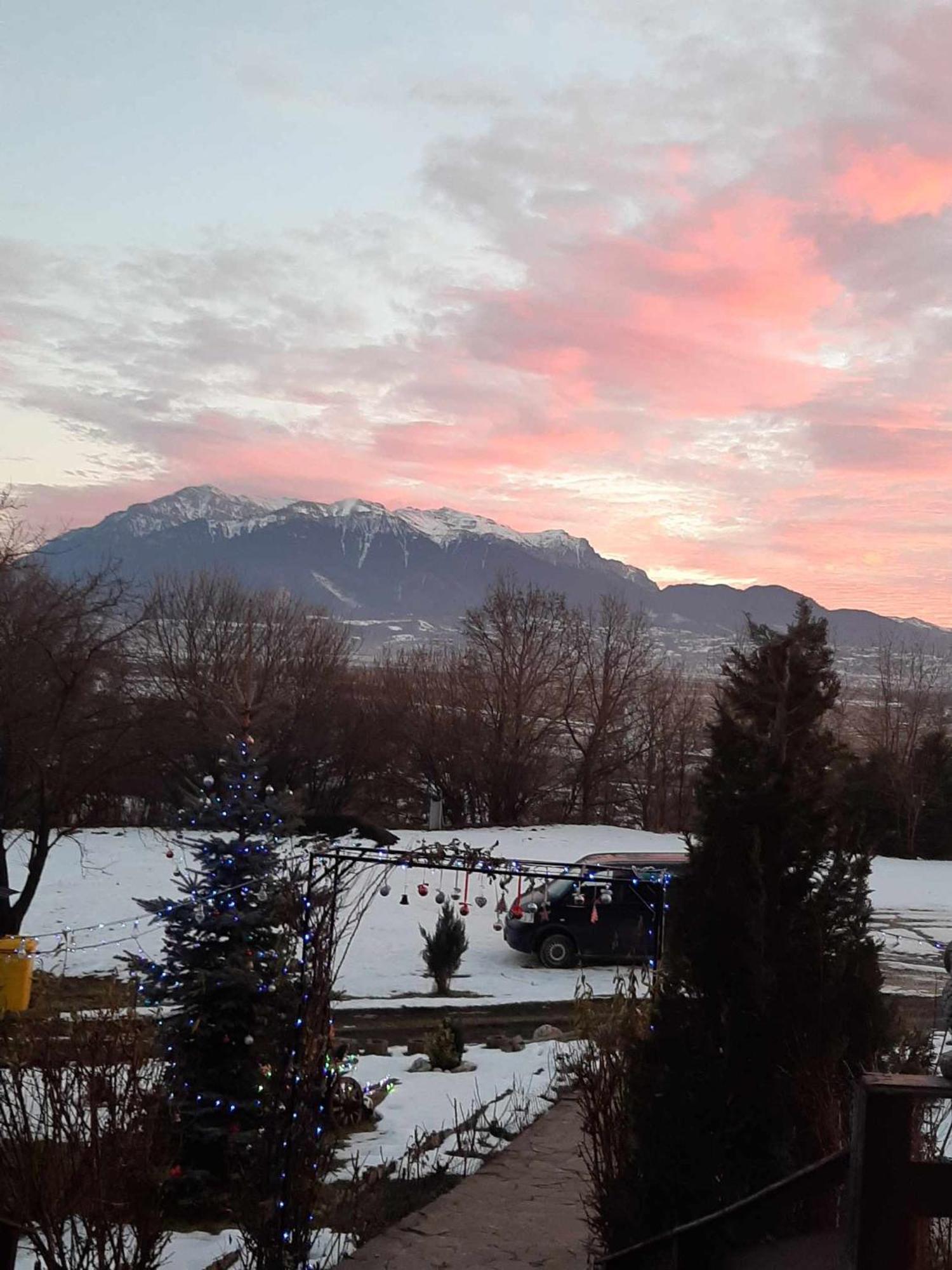 Dumbrava Ursului Hotel Zărneşti Bagian luar foto