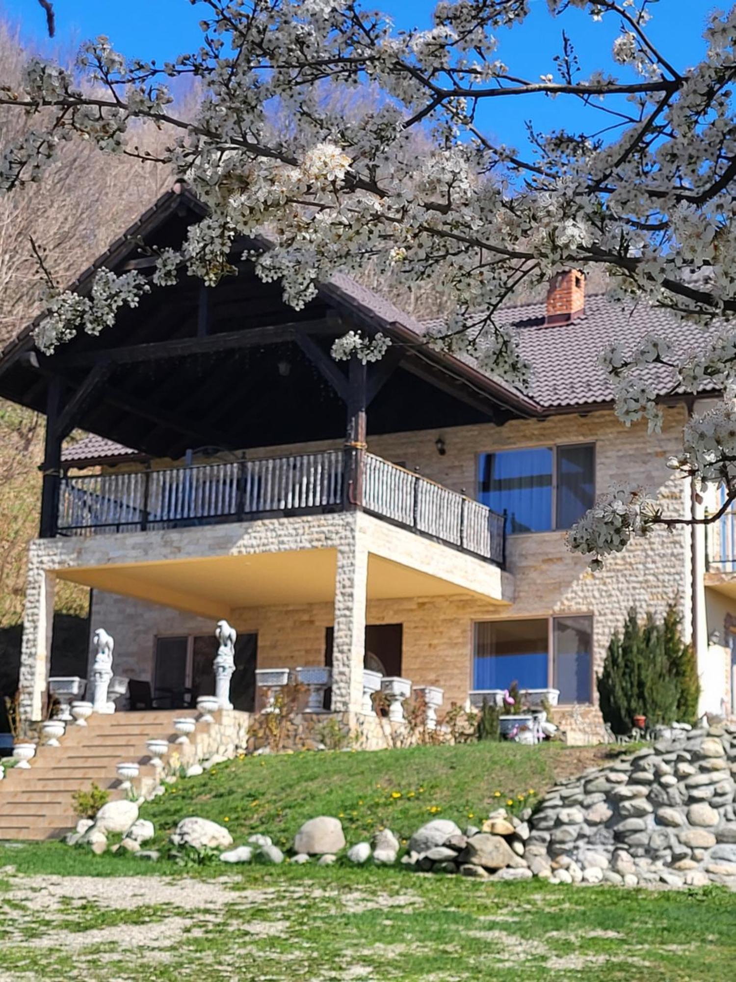 Dumbrava Ursului Hotel Zărneşti Bagian luar foto