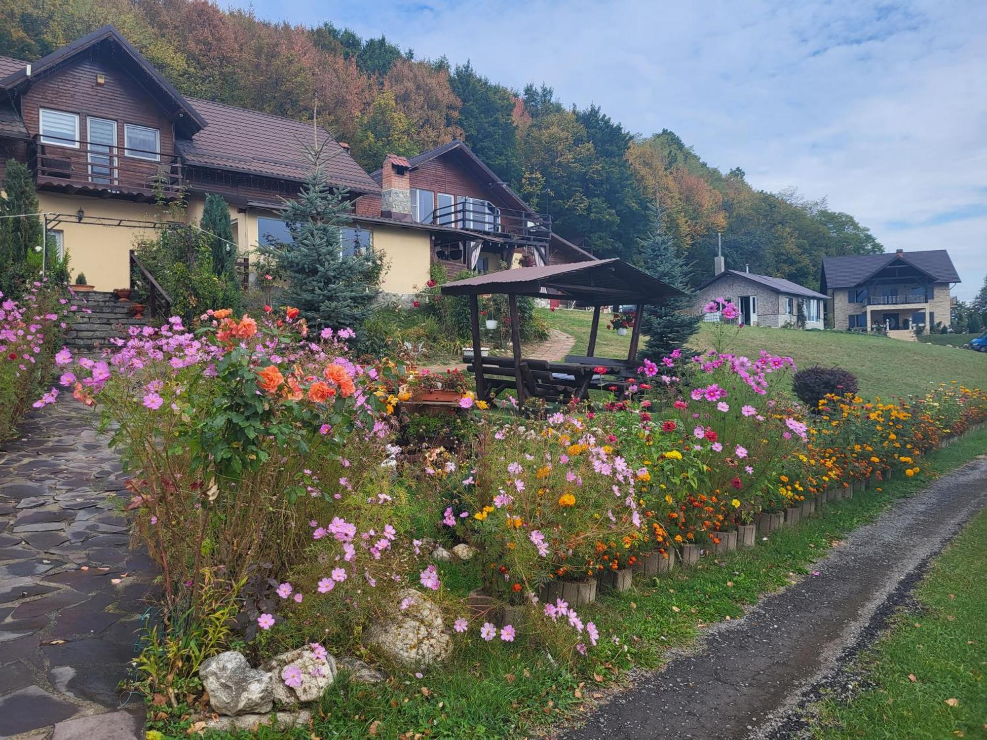 Dumbrava Ursului Hotel Zărneşti Bagian luar foto