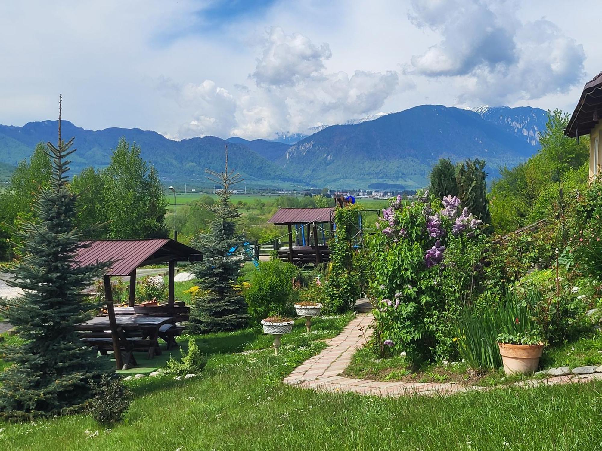 Dumbrava Ursului Hotel Zărneşti Bagian luar foto