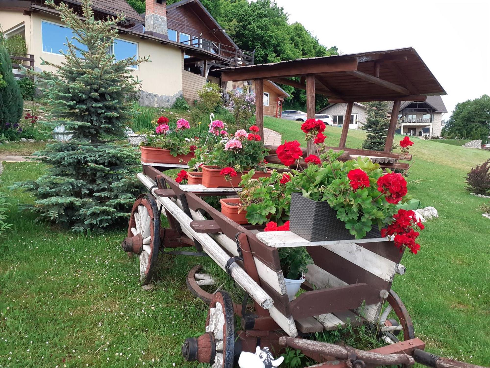 Dumbrava Ursului Hotel Zărneşti Bagian luar foto